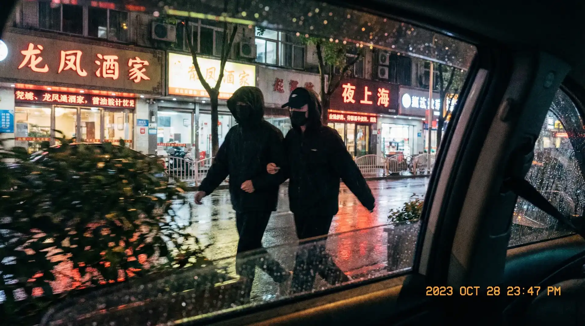 啄木鸟电影在线观看完整免费 - 顶流明星深夜密会现场抓拍照片